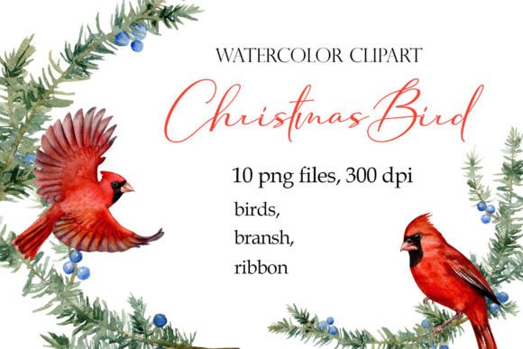 Watercolor Christmas Bird Cardinal PNG for Illustrations